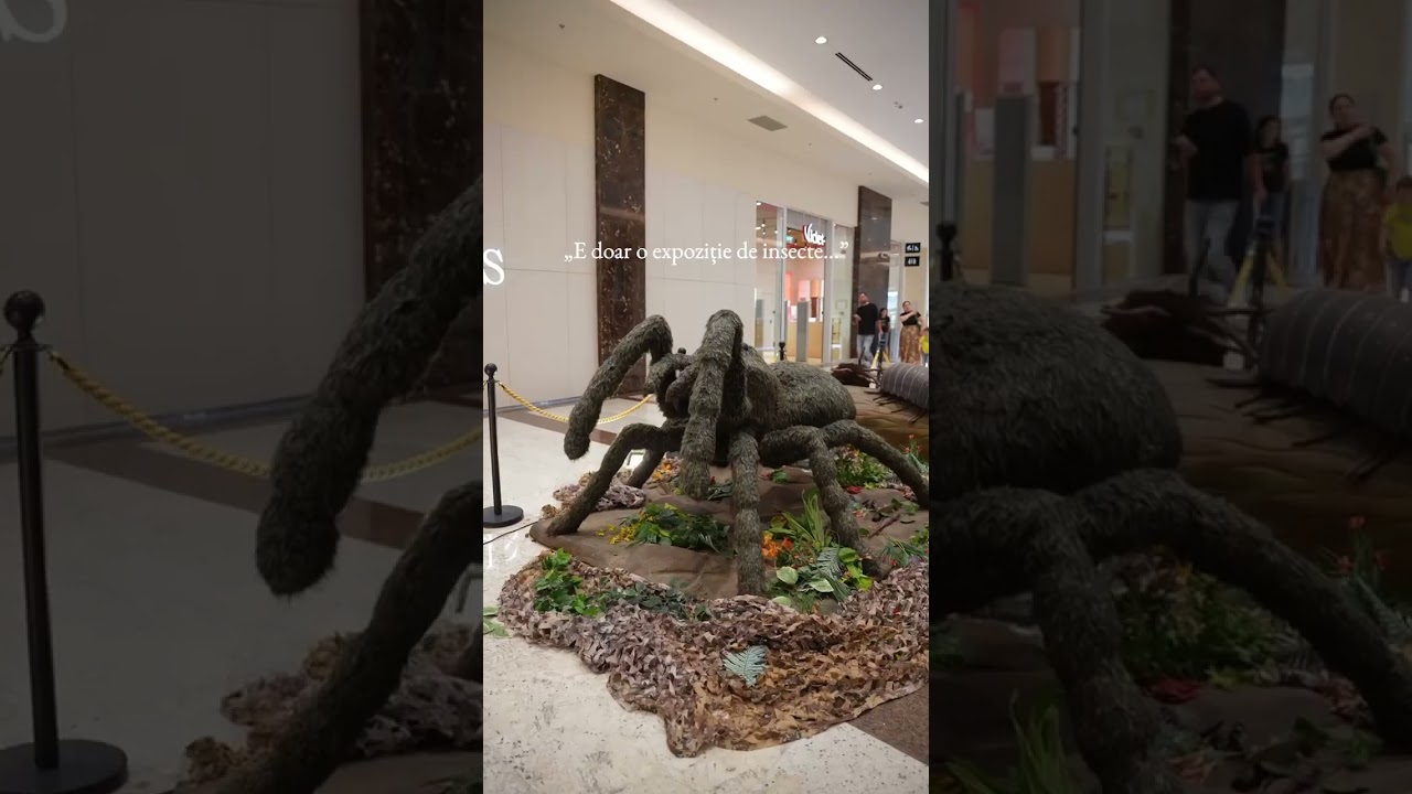 Giant Bugs &icirc;n premieră la Suceava!