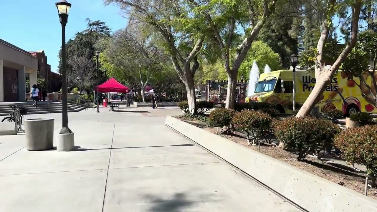 Beautiful day on campus
