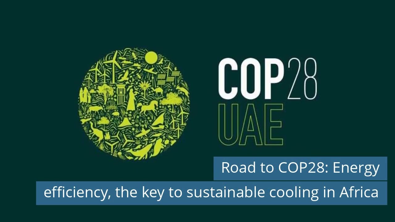 Walden Group transport network/ Road to COP28 / Thermo King at Busworld/ Carrier Lynx Logix Platform