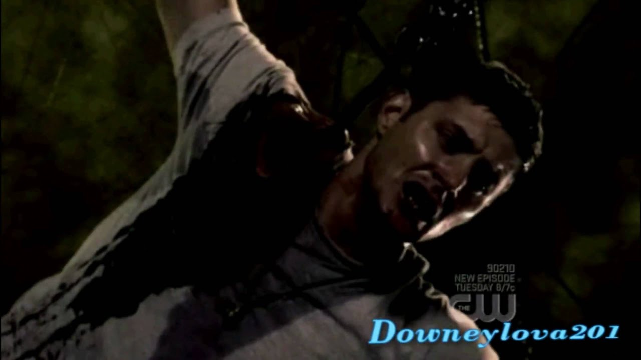 Supernatural- Fireflies