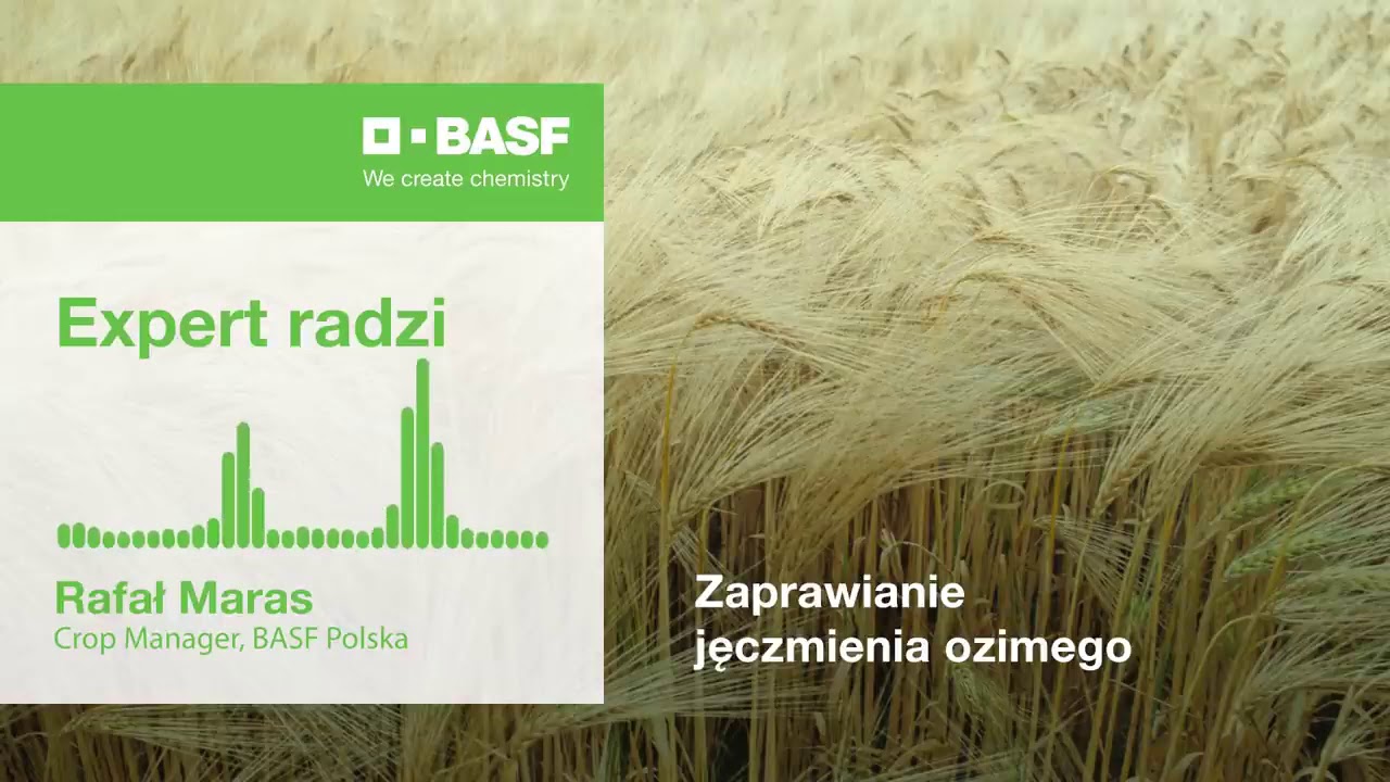 Zaprawianie jęczmienia ozimego &ndash; zaprawianie zb&oacute;ż | Podcast #17