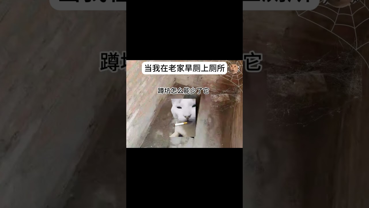 当我在老家的旱厕上厕所