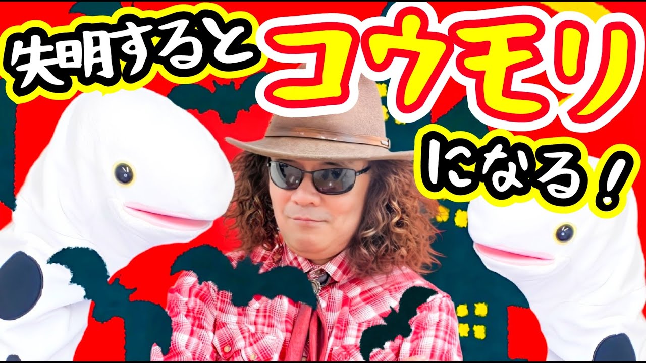 解説！なぜ目が見えないのに部屋の広さがわかるの？全盲の人の空間認知能力！中途失明の全盲のバイオリニスト穴澤雄介が教えます♪