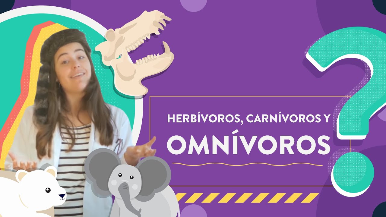 Herbívoros, carnívoros y omnívoros
