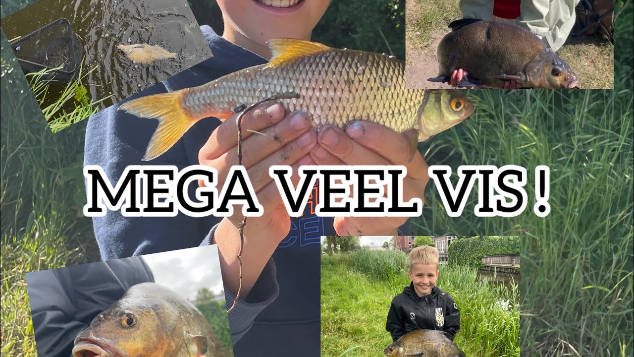 Lukt het ￼ons om de grootste voorns van de buurt te vangen  met wormen en maden 🤔🪱
