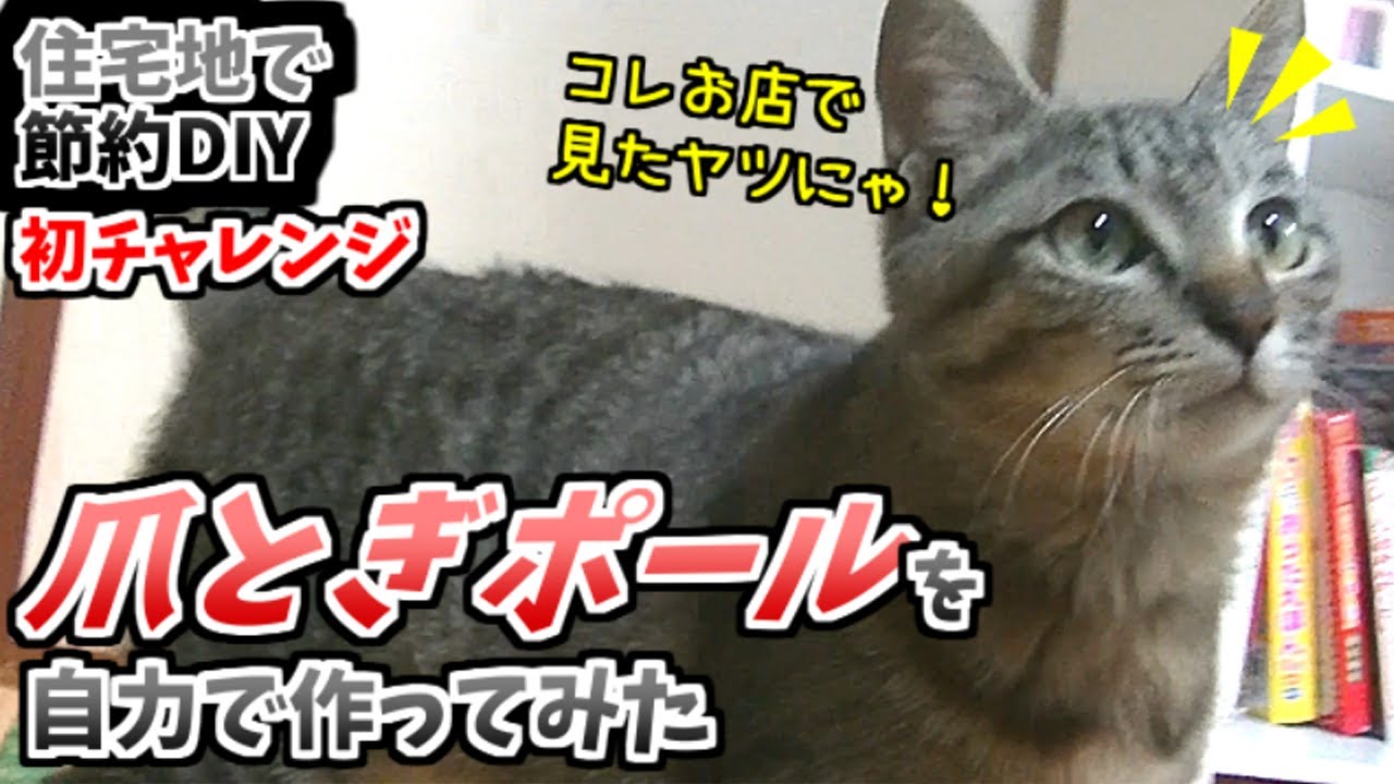 【地方の住宅地で】廃材で爪とぎポール自作したら猫が喜んだ！【ほどほど節約生活】