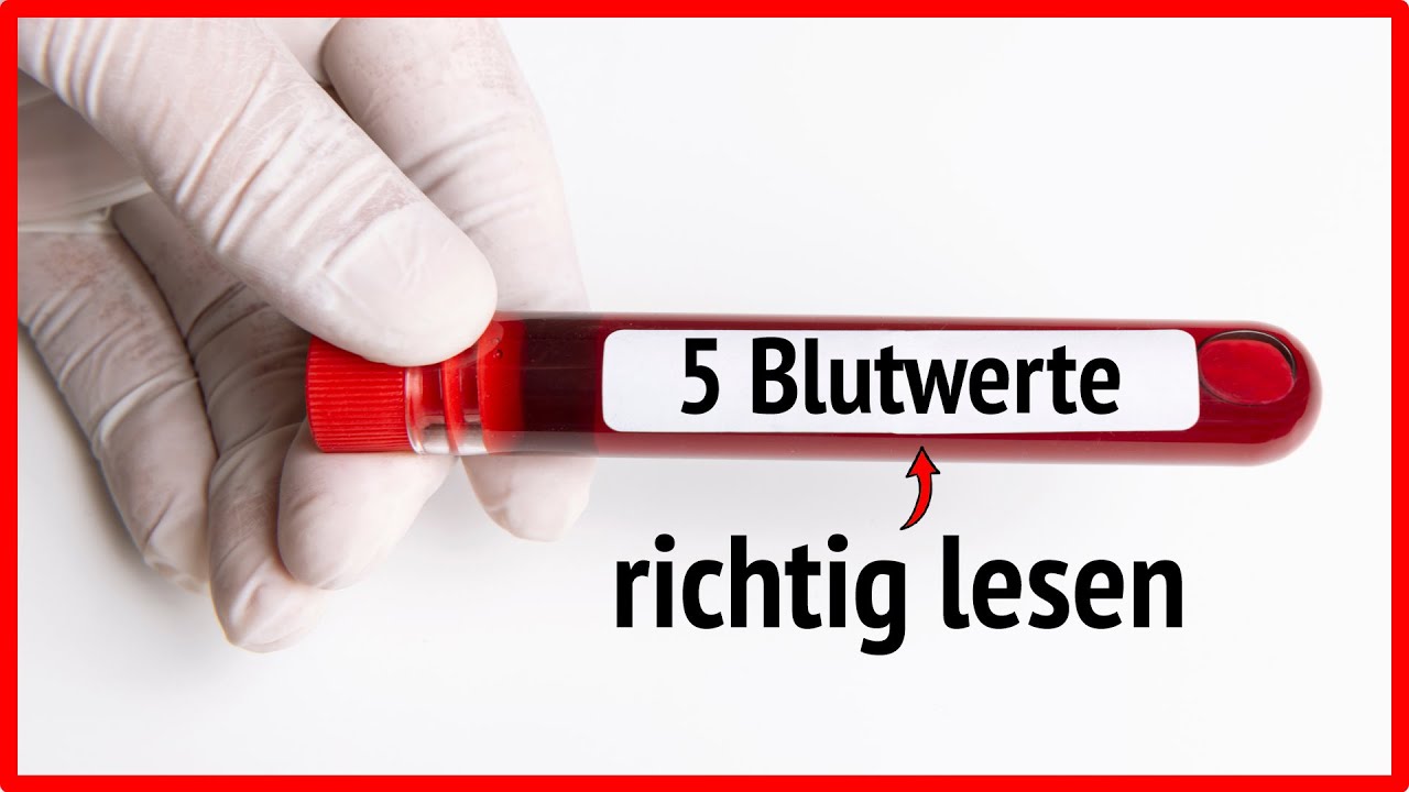 5 Blutwerte, die du dringend kennen musst