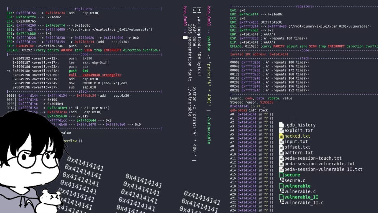 Buffer Overflows: A Symphony of Exploitation