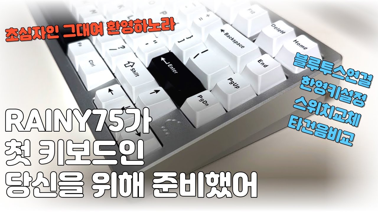 RAINY75가 첫 기계식키보드인 당신을 위한 개봉기(스위치 및 키캡교체, 한영키설정, 타건음비교)