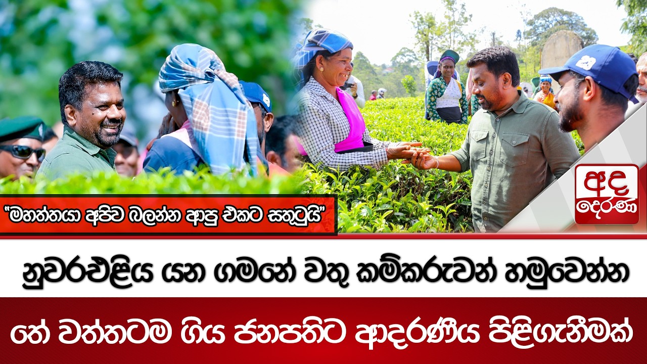 නුවරඑළිය යන ගමනේ වතු කම්කරුවන් හමුවෙන්න තේ වත්තටම ගිය ජනපතිට ආදරණීය පිළිගැනීමක් | Ada Derana
