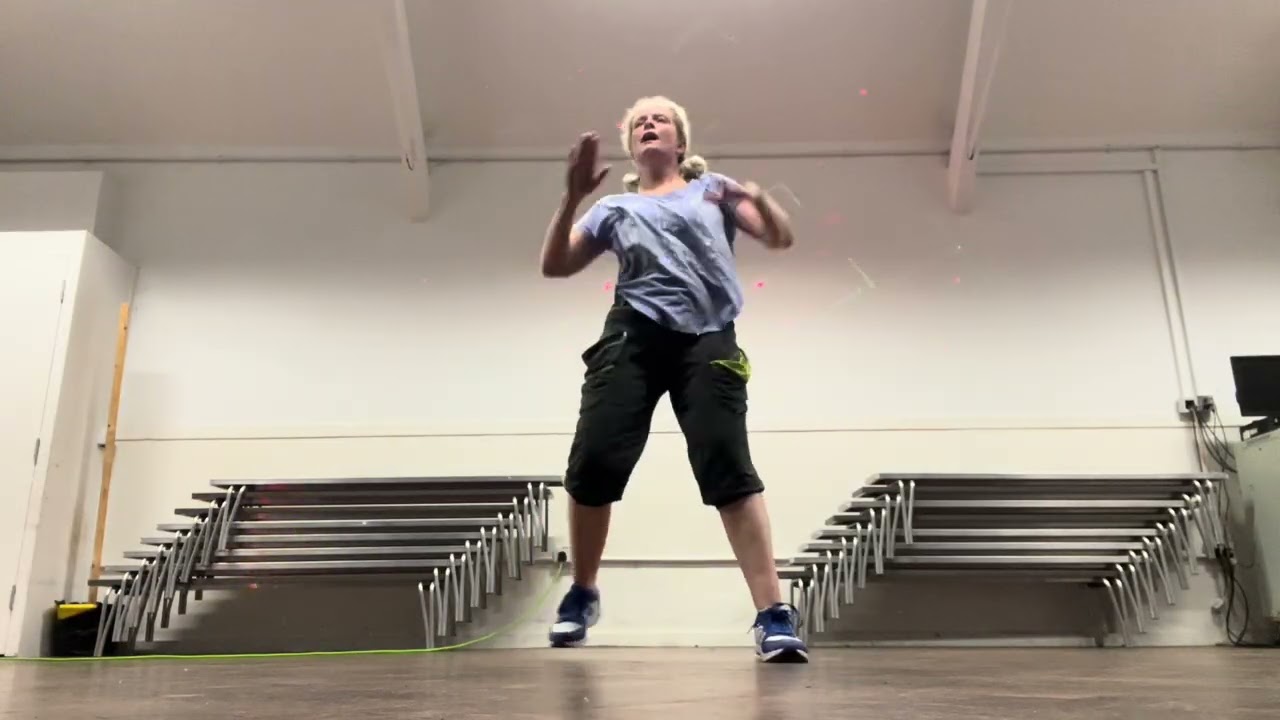 INSOMNIA - HITZ * ZUMBA/ZUMBA GOLD * FIT CLUB HINCKLEY