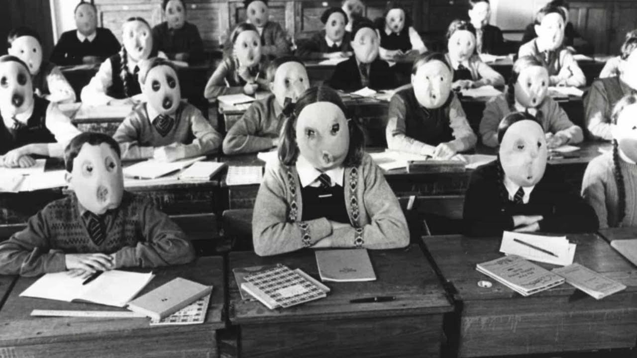 Por que as escolas públicas e a mídia nos emburrecem