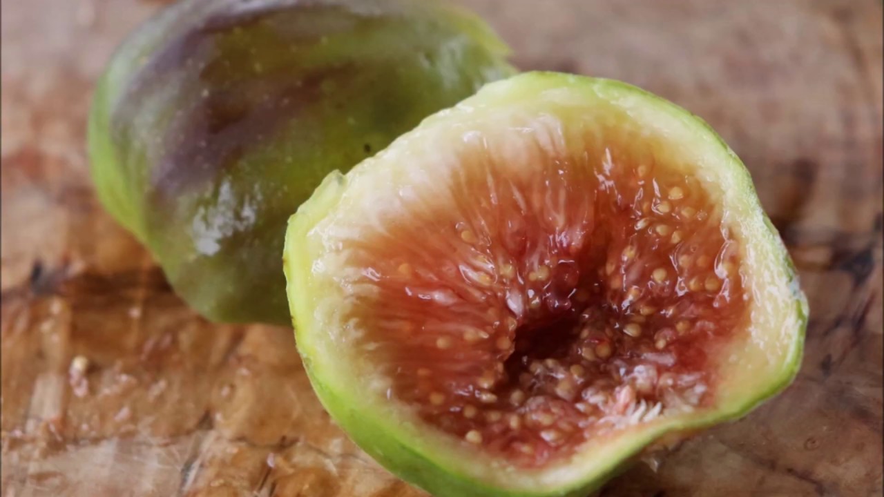 Tasting a Bordissot Blanca-Negra Fig in Fall - AZ 9B