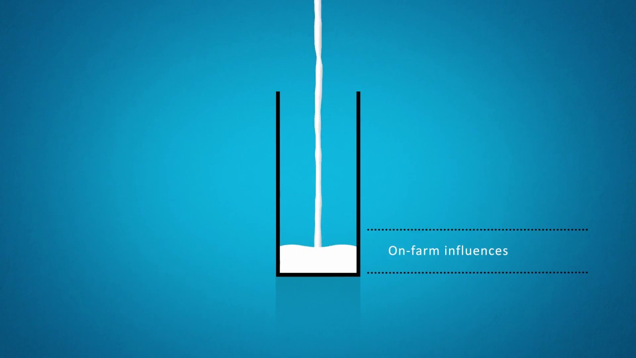 What influences farmgate milk prices?