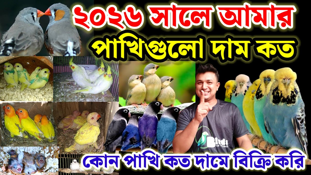 পাখির দাম কত টাকা || ২০২৬ সালে কোন পাখিগুলো কত দামে বিক্রি করি || bird price || Birds of village
