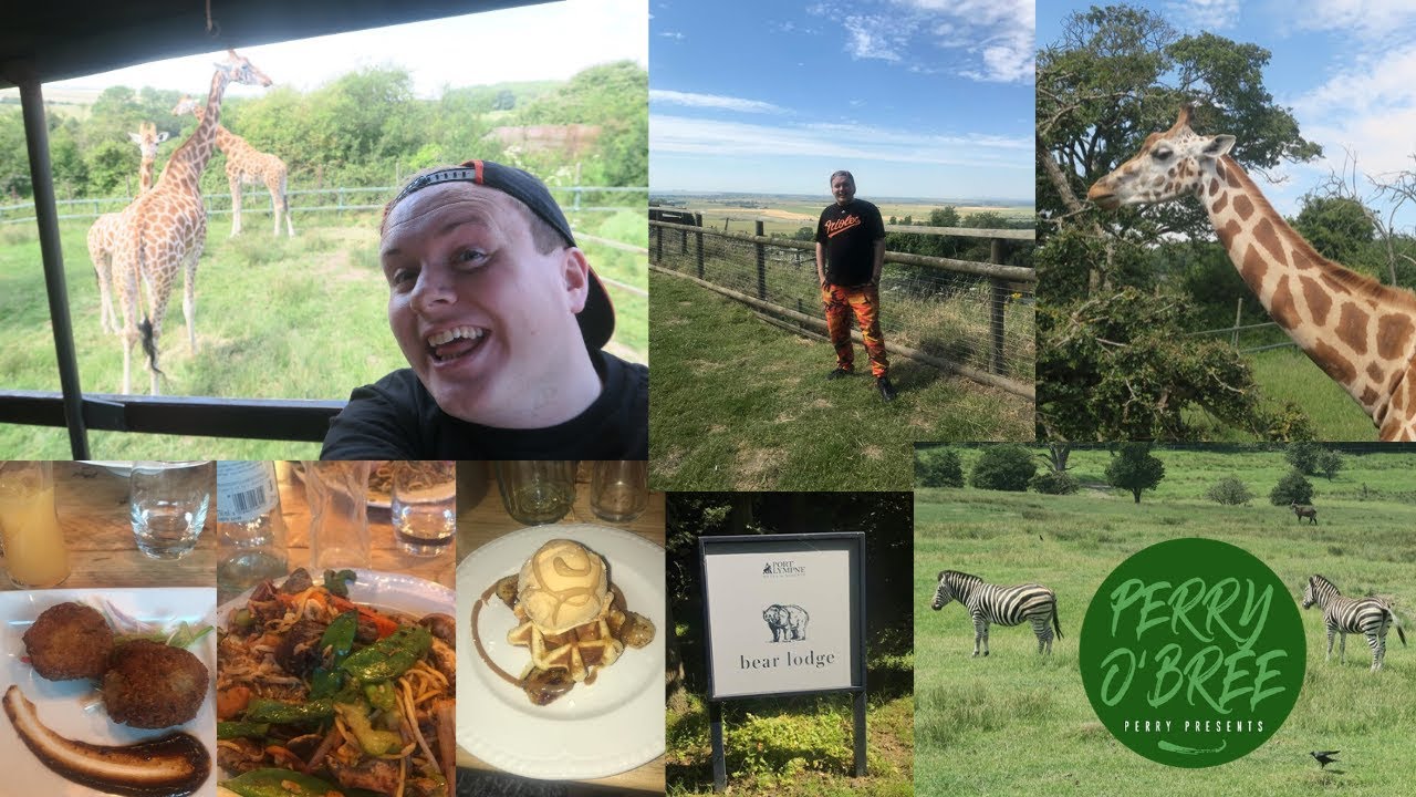 Bear Lodge Short Break and Safari Port Lympne | UK Staycation