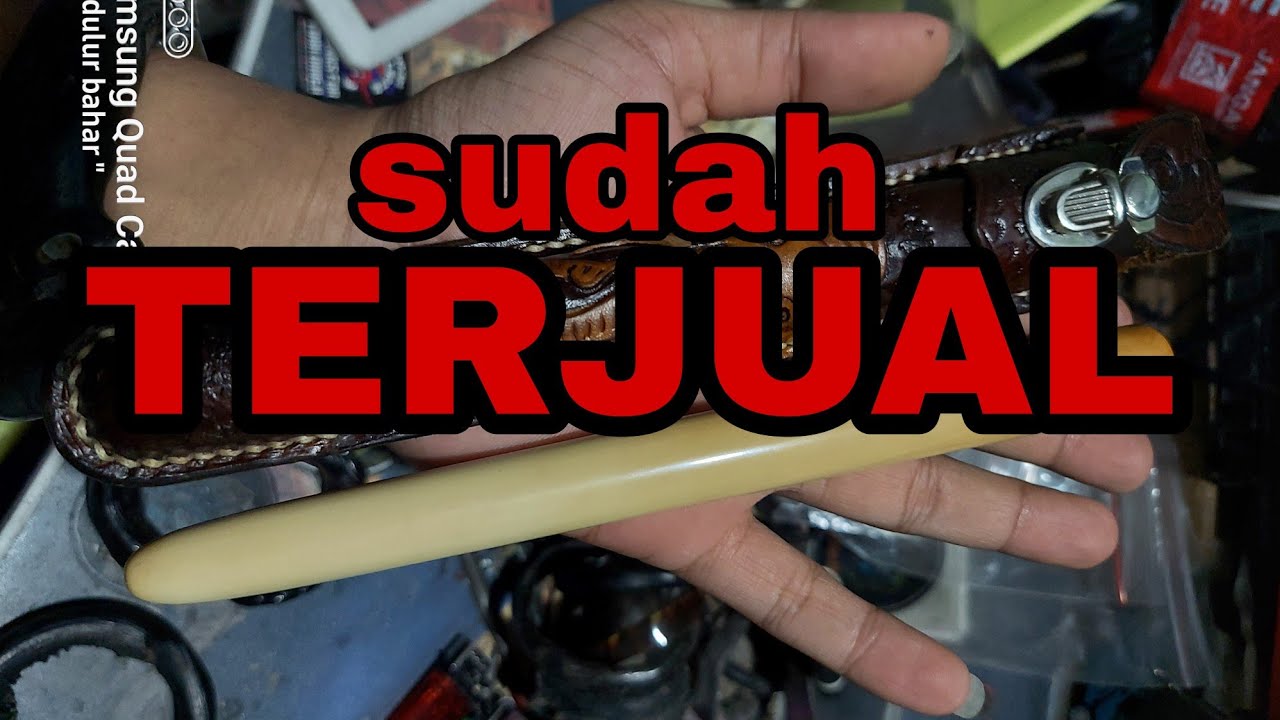 pipa Gading gajah ori panjanng 21,5cm*20mm*19mm