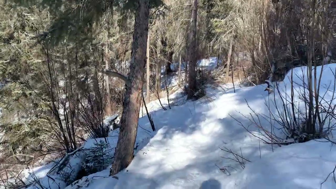 A Sunny Winter Day - Part 2