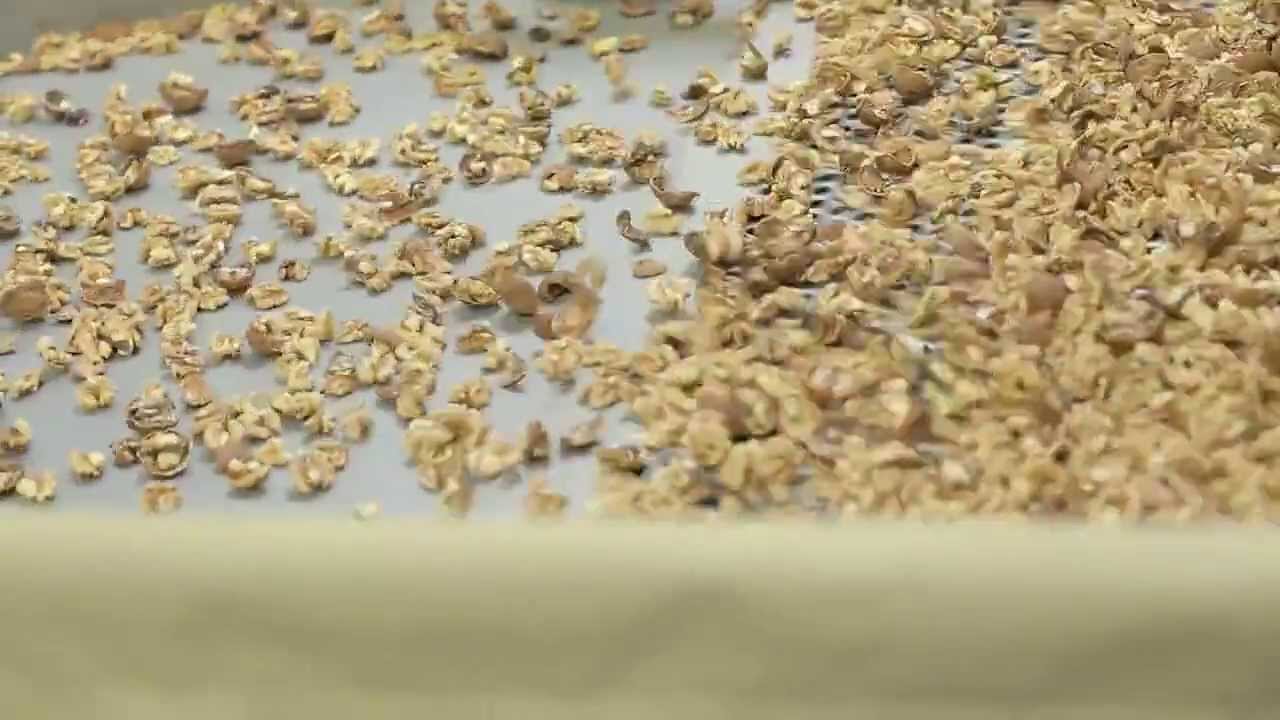 California Walnut Processing