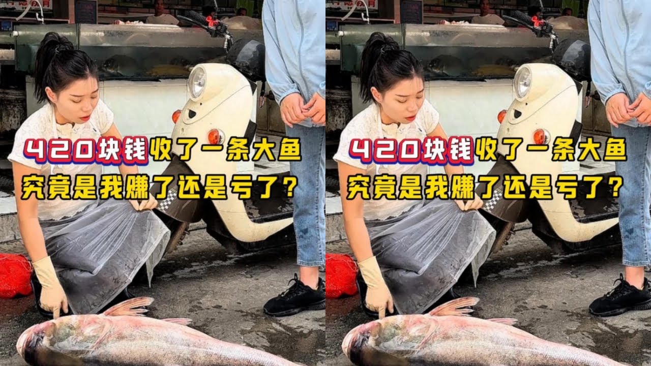 420块钱收了一条大鱼，究竟是我赚了还是亏了？