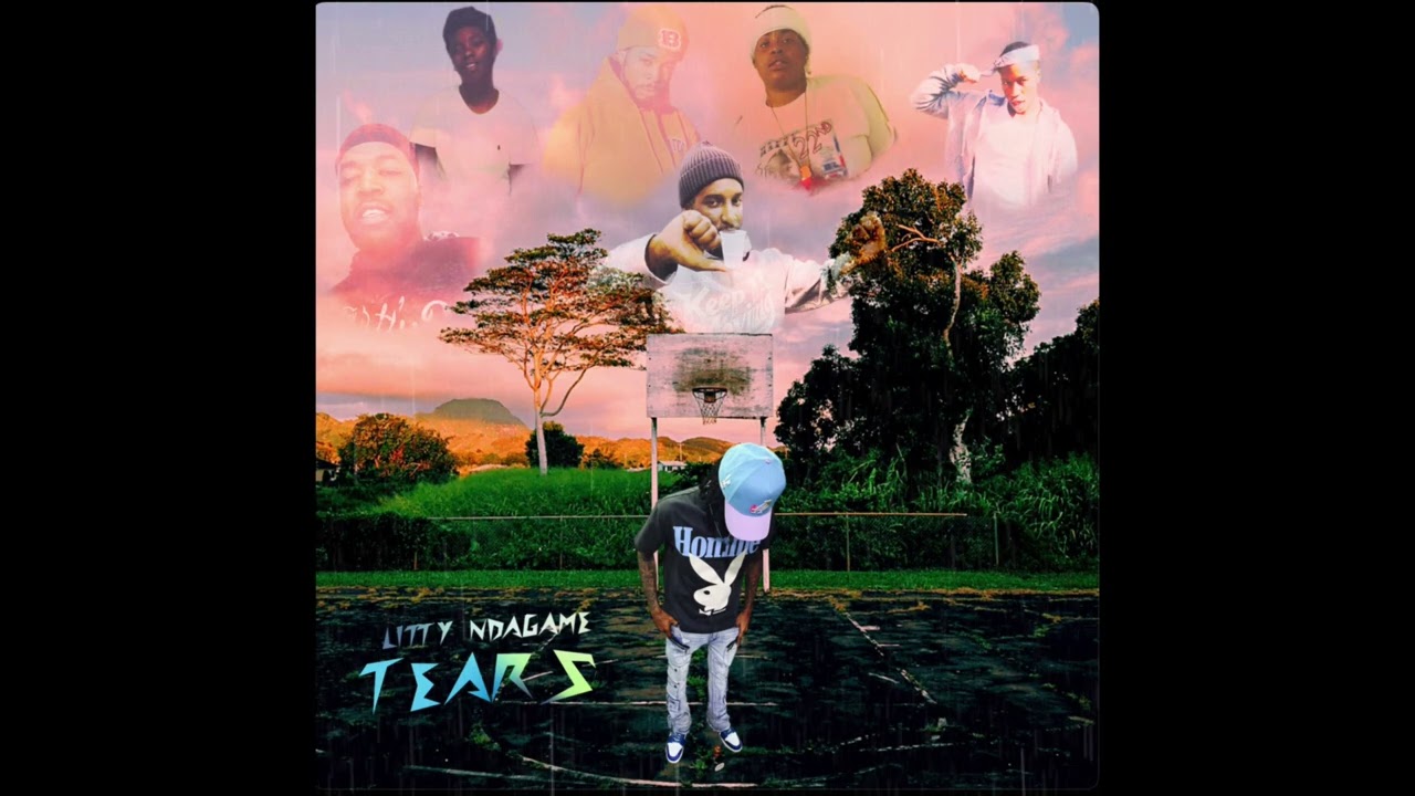 Litty NDaGame - Tears (Visualizer Audio)