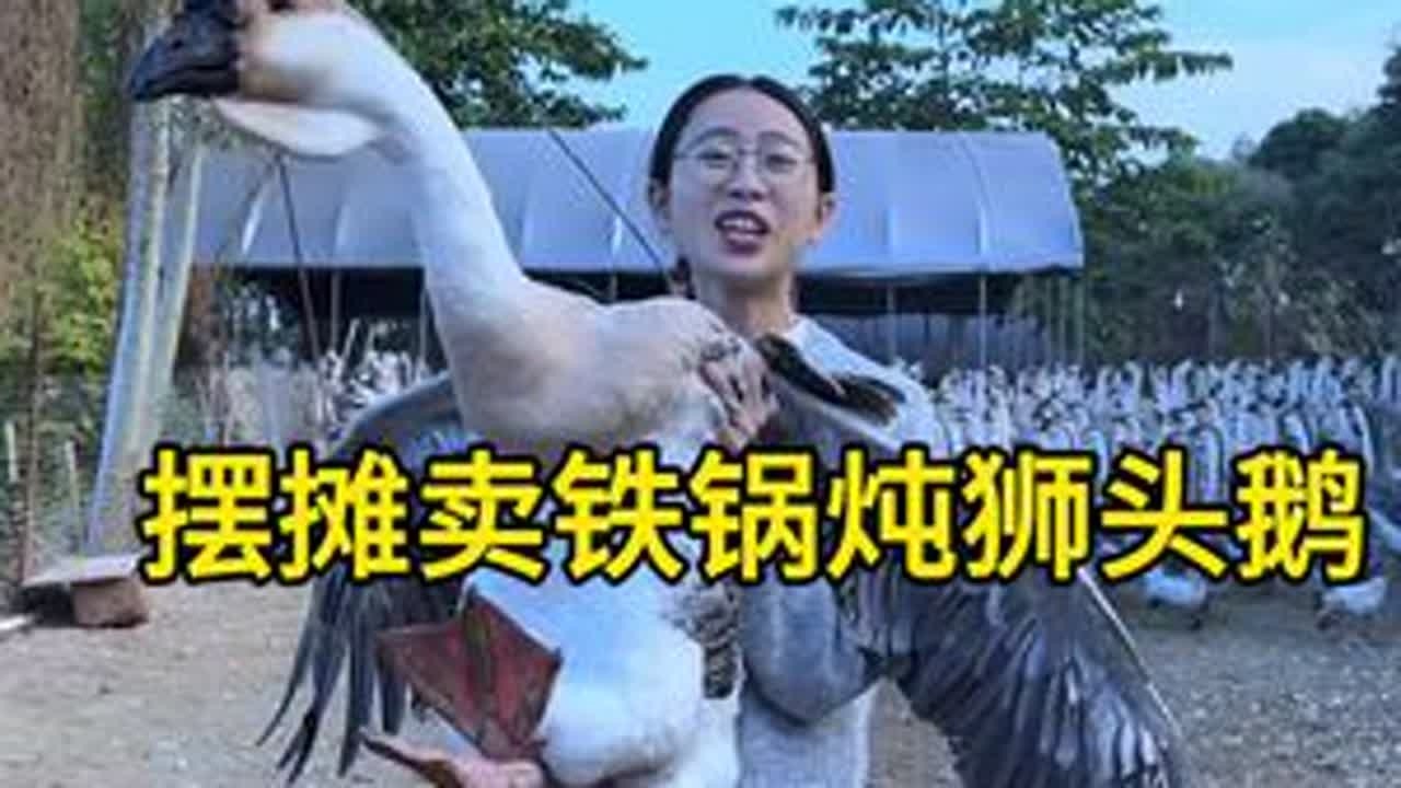 今天去鹅场定了狮头鹅去做成铁锅炖狮头鹅去摆摊。 一份小小的铁锅炖狮头鹅拉近了我和你们的距离，你们的一句：“我一直在等你出摊！”让我体会到被惦记的感觉真好，谢谢你们，我只是个小小摊贩，没想到在你们...