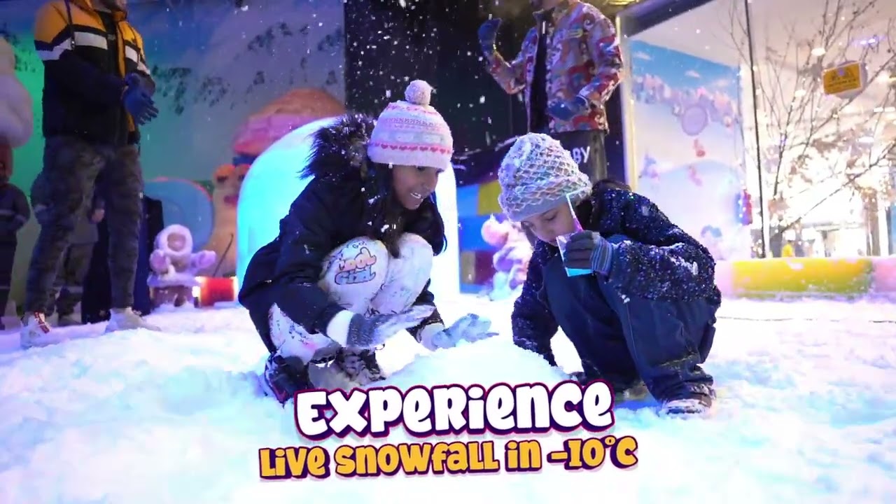Experience Live Snowfall In -10C