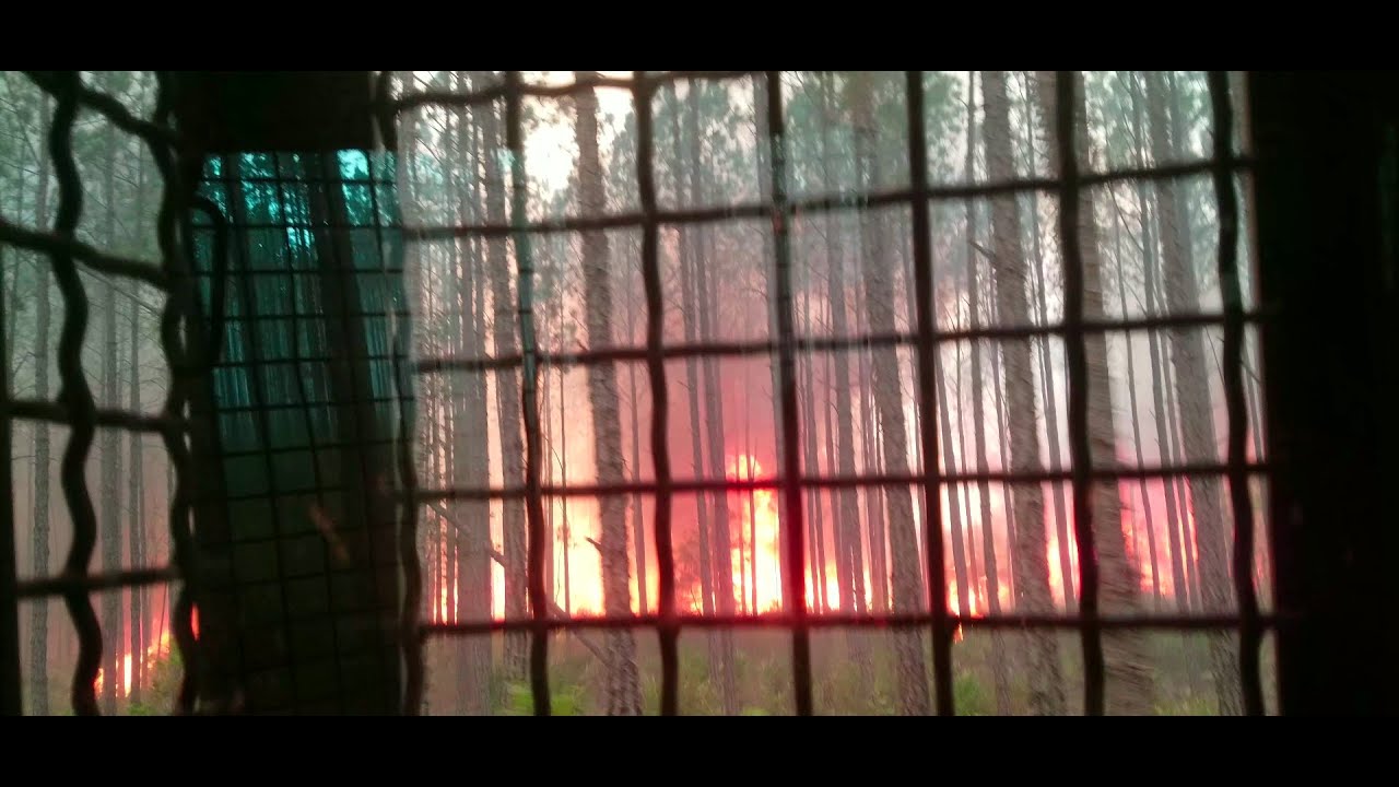 Wildland Fire Dozer Operator: Okefenokee Swamp- West Mims Wildfire
