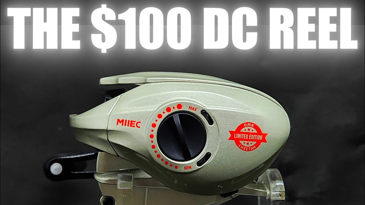 $100 DC REEL!!! The DMK CHEETAH...