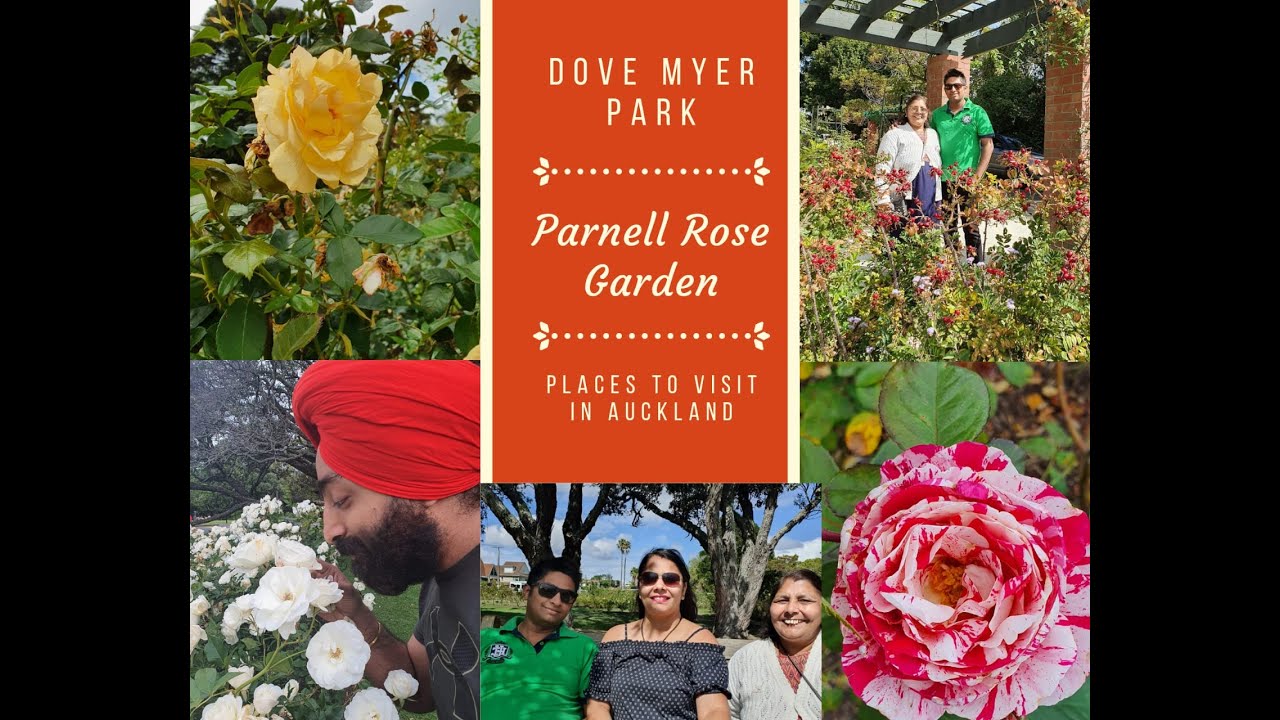Parnell Rose Garden, Auckland | Places to visit in Auckland | Travel Vlog | Festival of Roses |