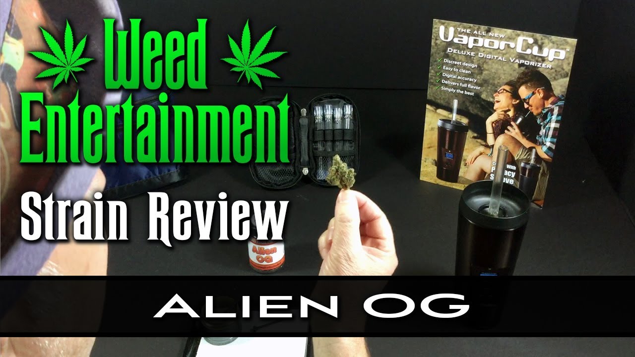 Alien OG - Hybrid - by Beard Bros. - Strain Review - Dr GreenThumbs, Sylmar, Ca