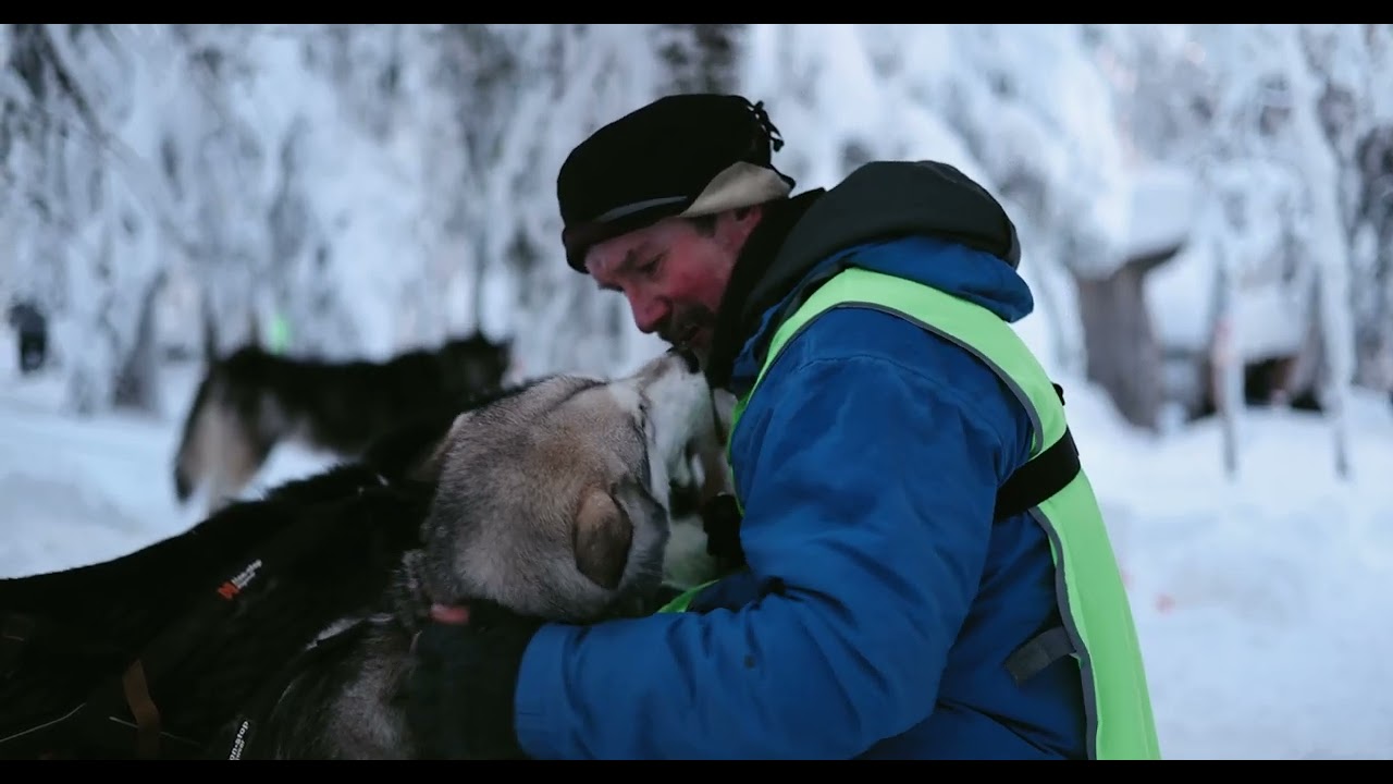 Draghundar i Orsa - Hundtrailer