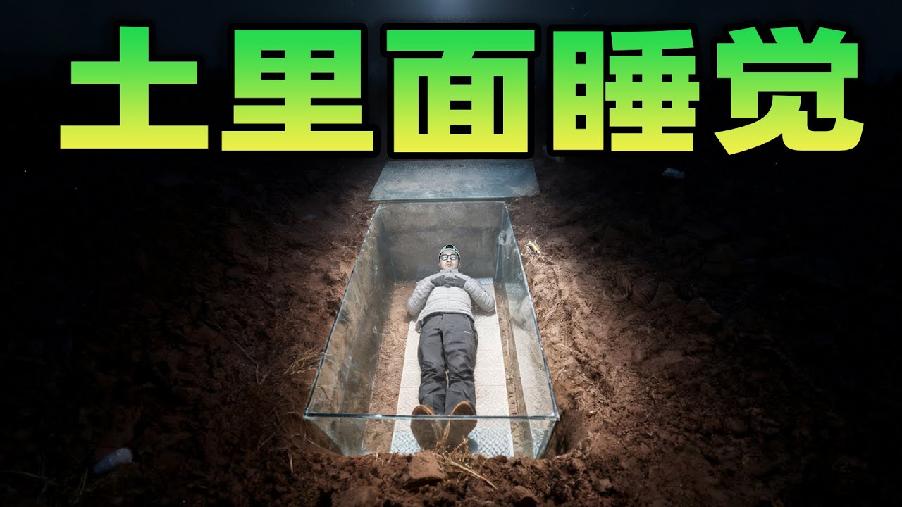在土里睡觉是什么体验？地下简直是另一种动物世界！虫子在脸上爬？