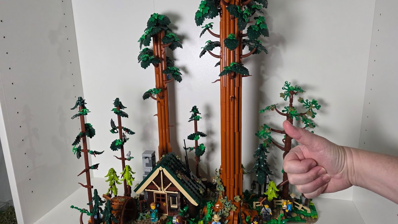Обзор набора Lego Bricklink «Тропа секвой»
