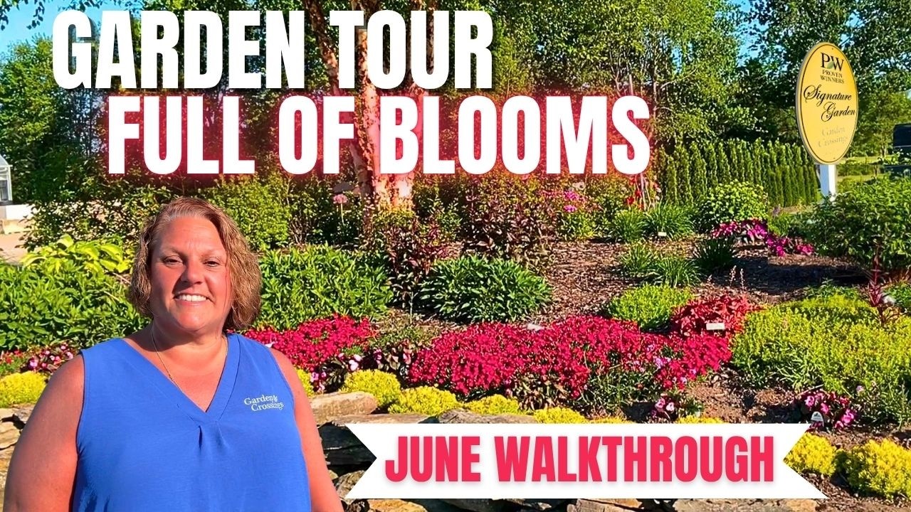 Garden Tour Full of Blooms | June Walkthrough at Garden Crossings