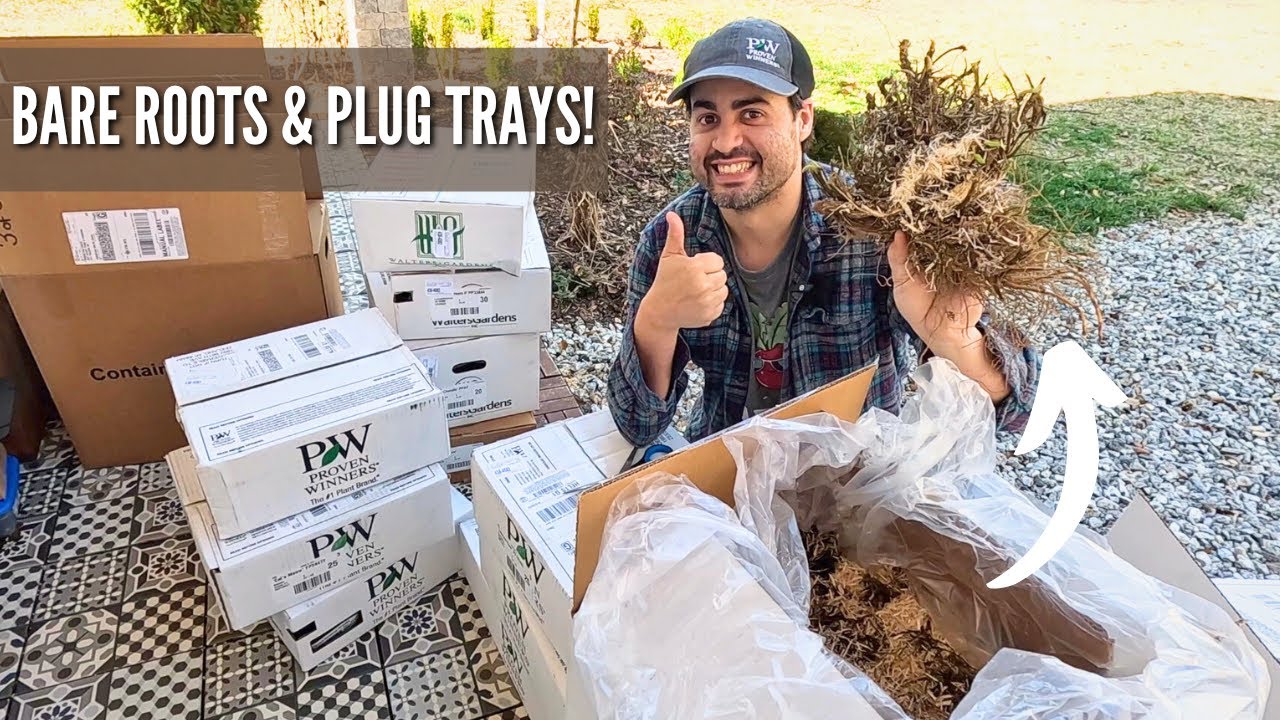 Unboxing Our Proven Winners Perennials from Walter's Gardens
