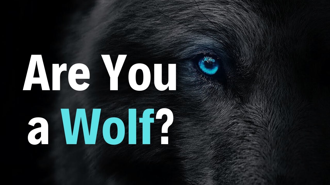 Discover Your Wild Side - Motivational Speech