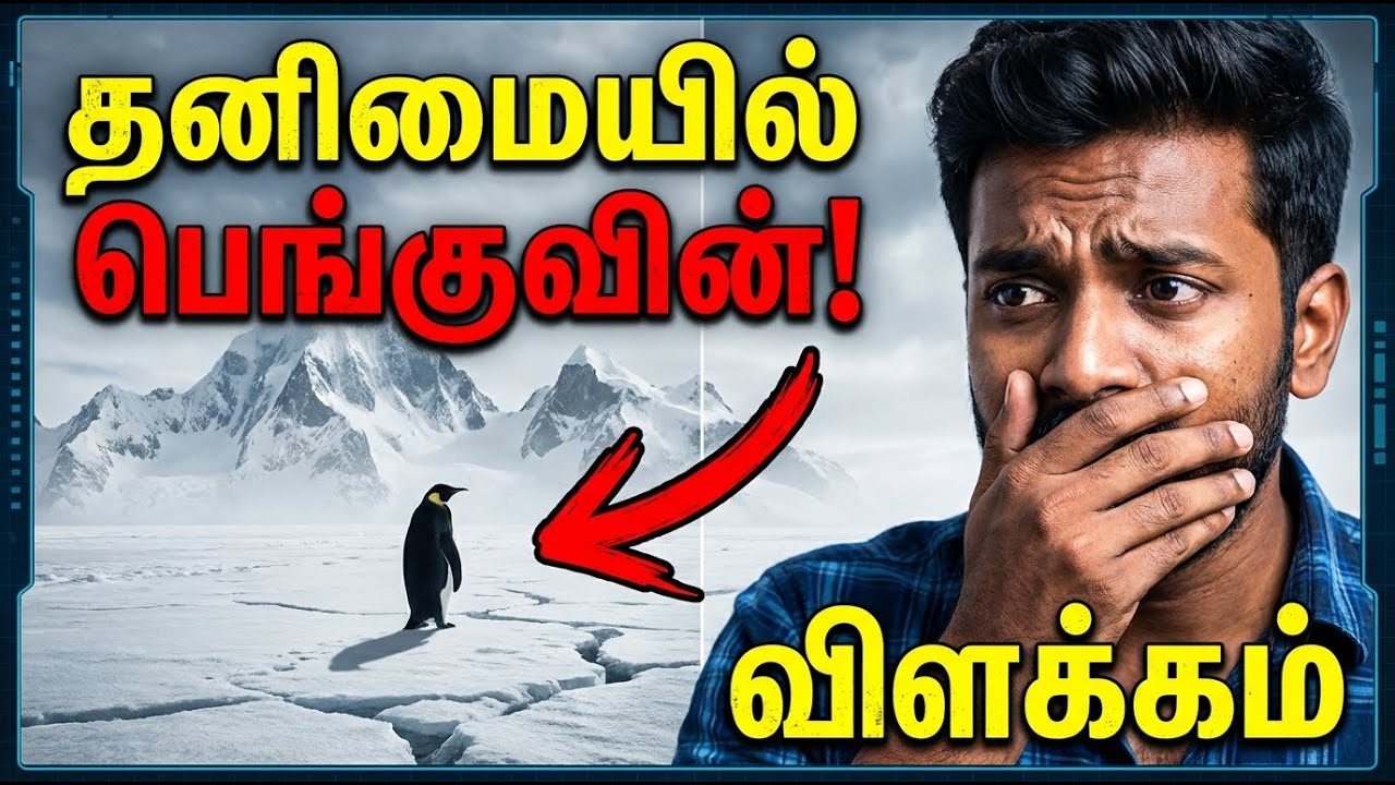 A Depressed Penguin’s Walk to the Mountain Alone Documentary | Explained in Tamil