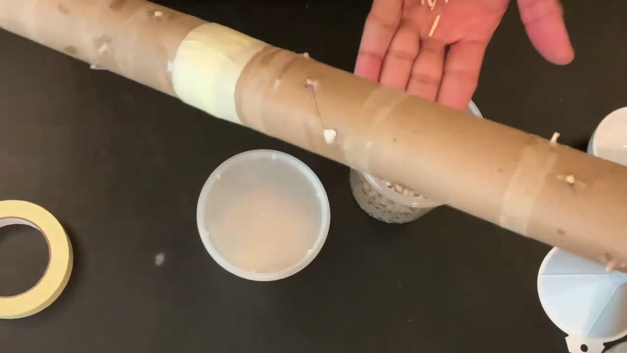 DIY Music - Recycle and Make a Rainstick