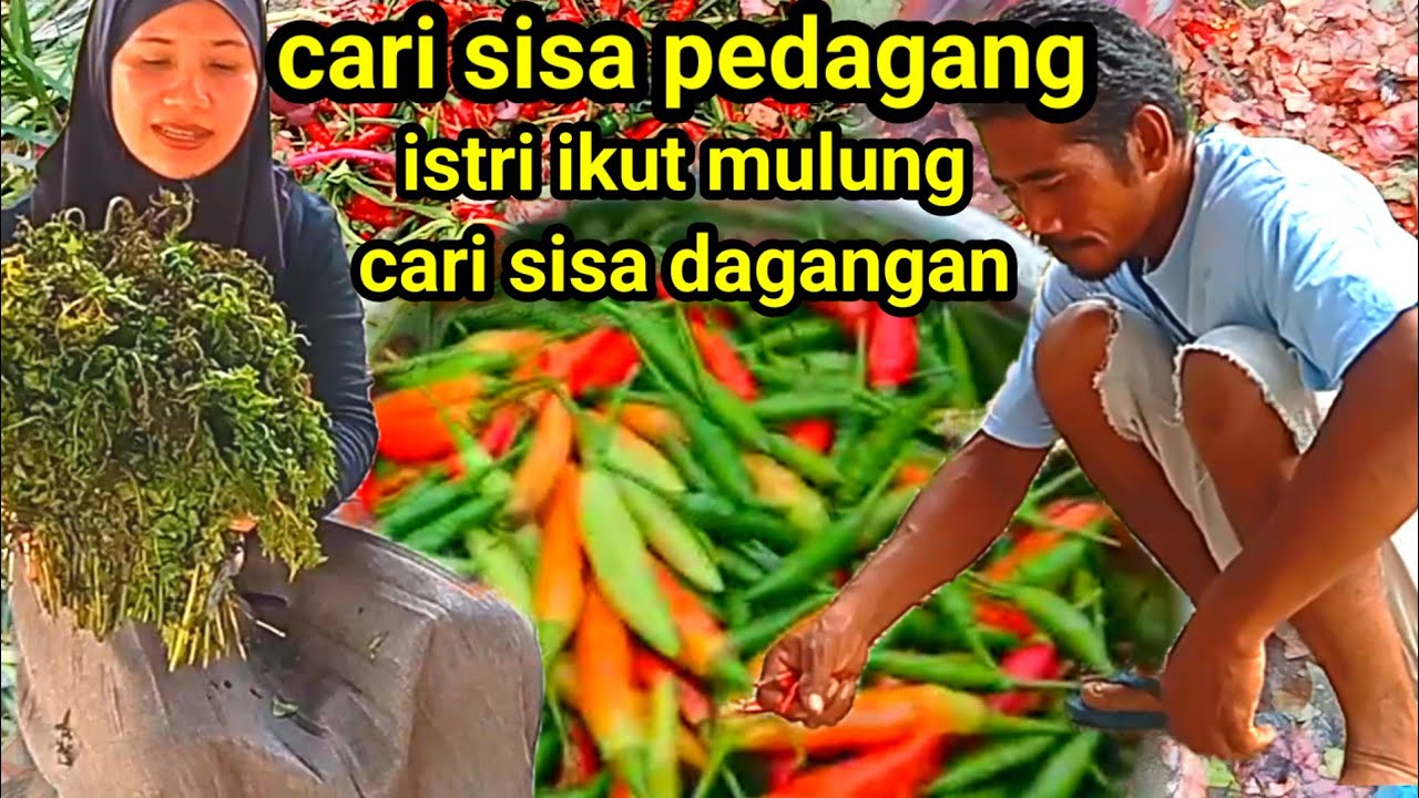 mulung sisa pedagang dapat banyak sayur pakis