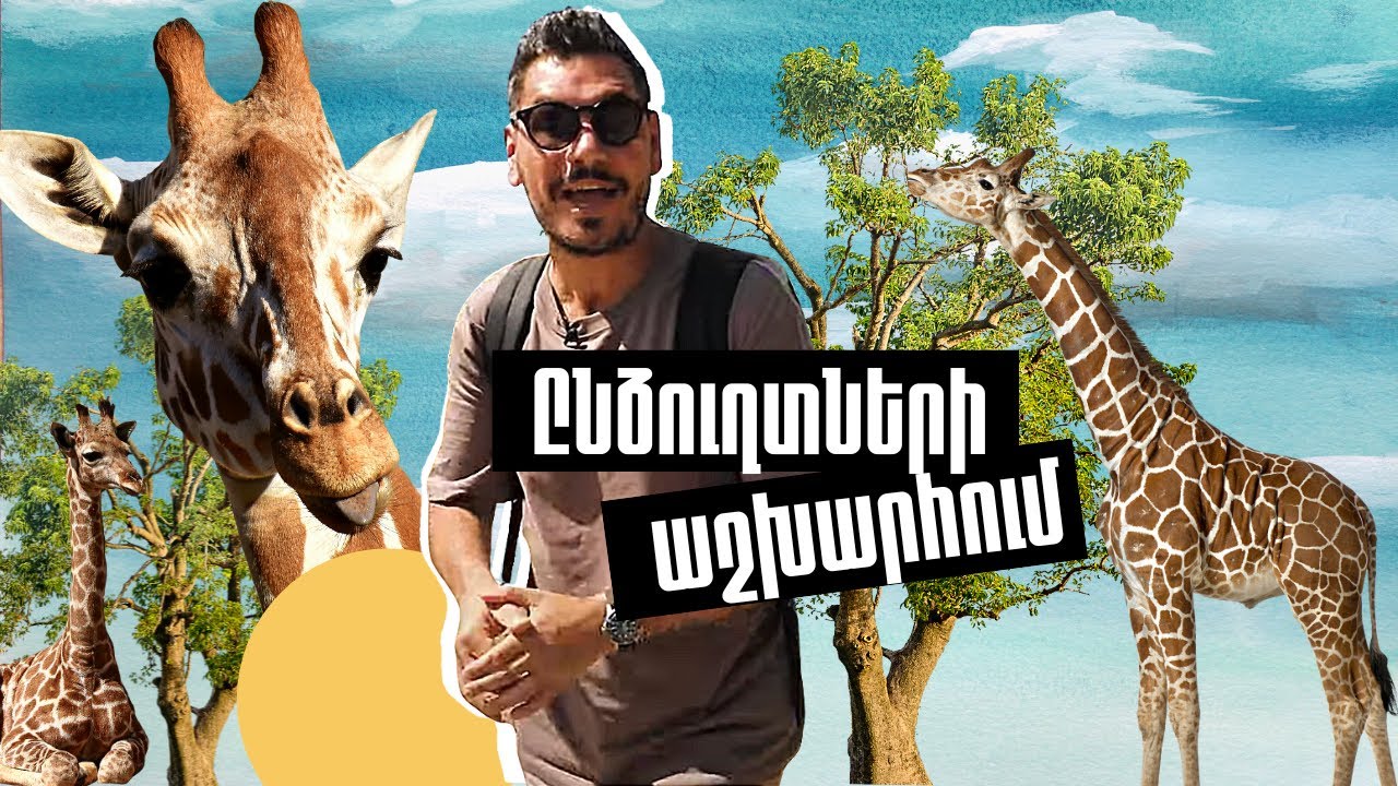 Ընձուղտների աշխարհում