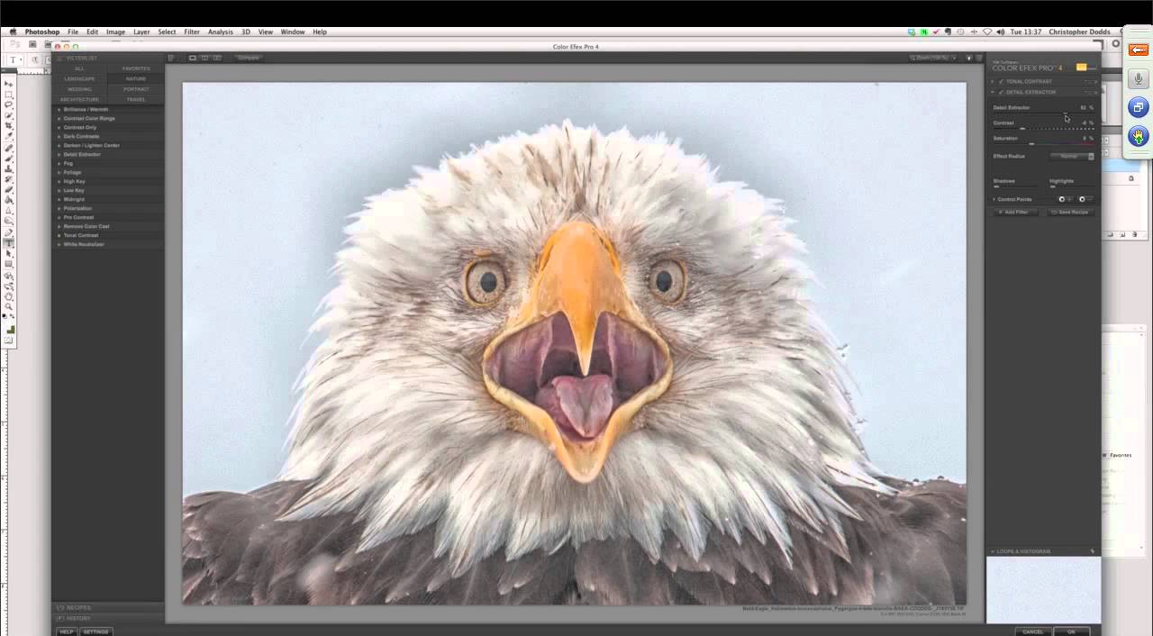 Nature Photography Color Workflow Revealed with Christopher Dodds!
