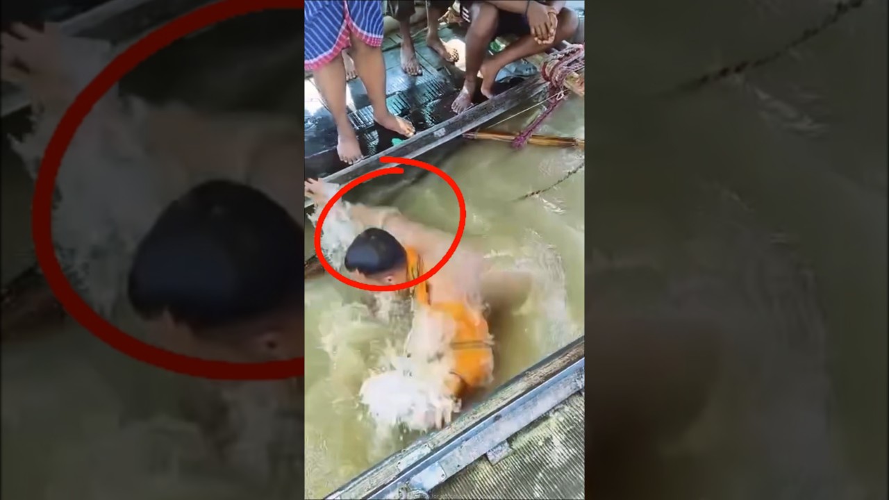 Miracle Holy Bath at Triveni Sangam 🌊🕉️ #shortsvideo