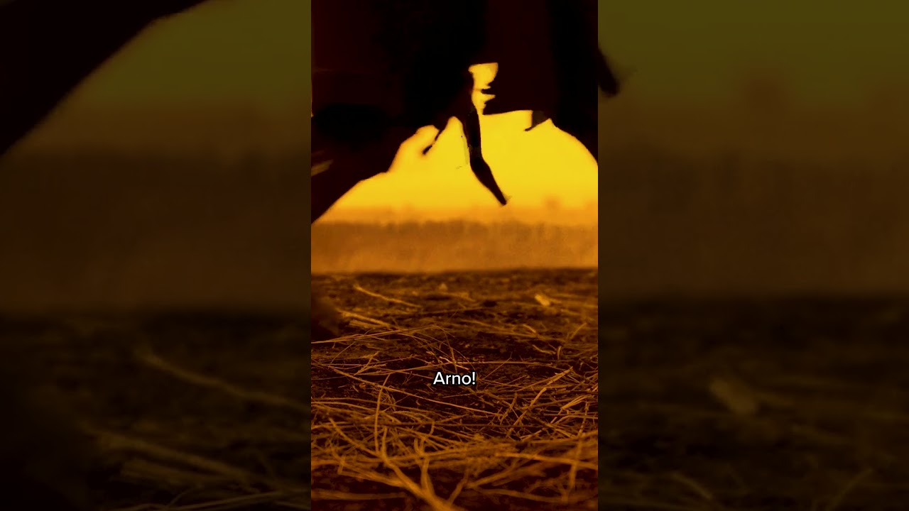 Radiated Horde | Fear The Walking Dead 