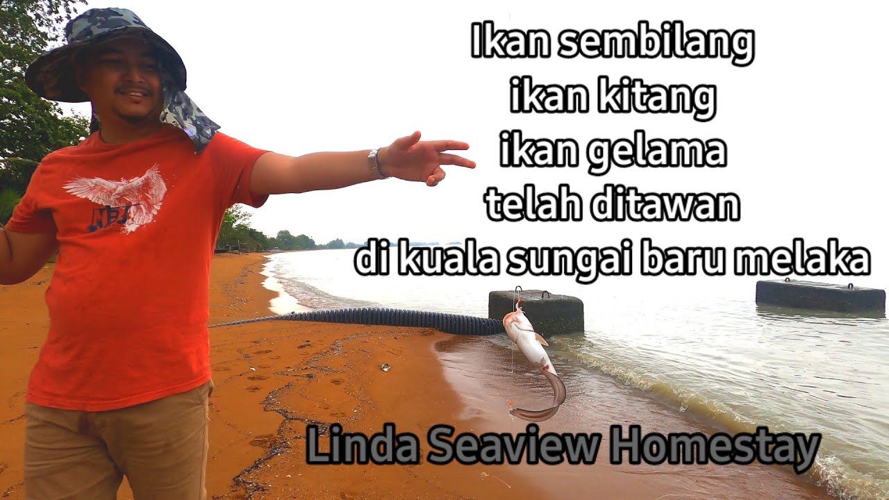First Time Memancing Ikan Sembilang di Kuala Sungai Baru Homestay Melaka sambil berkelah & beriadah