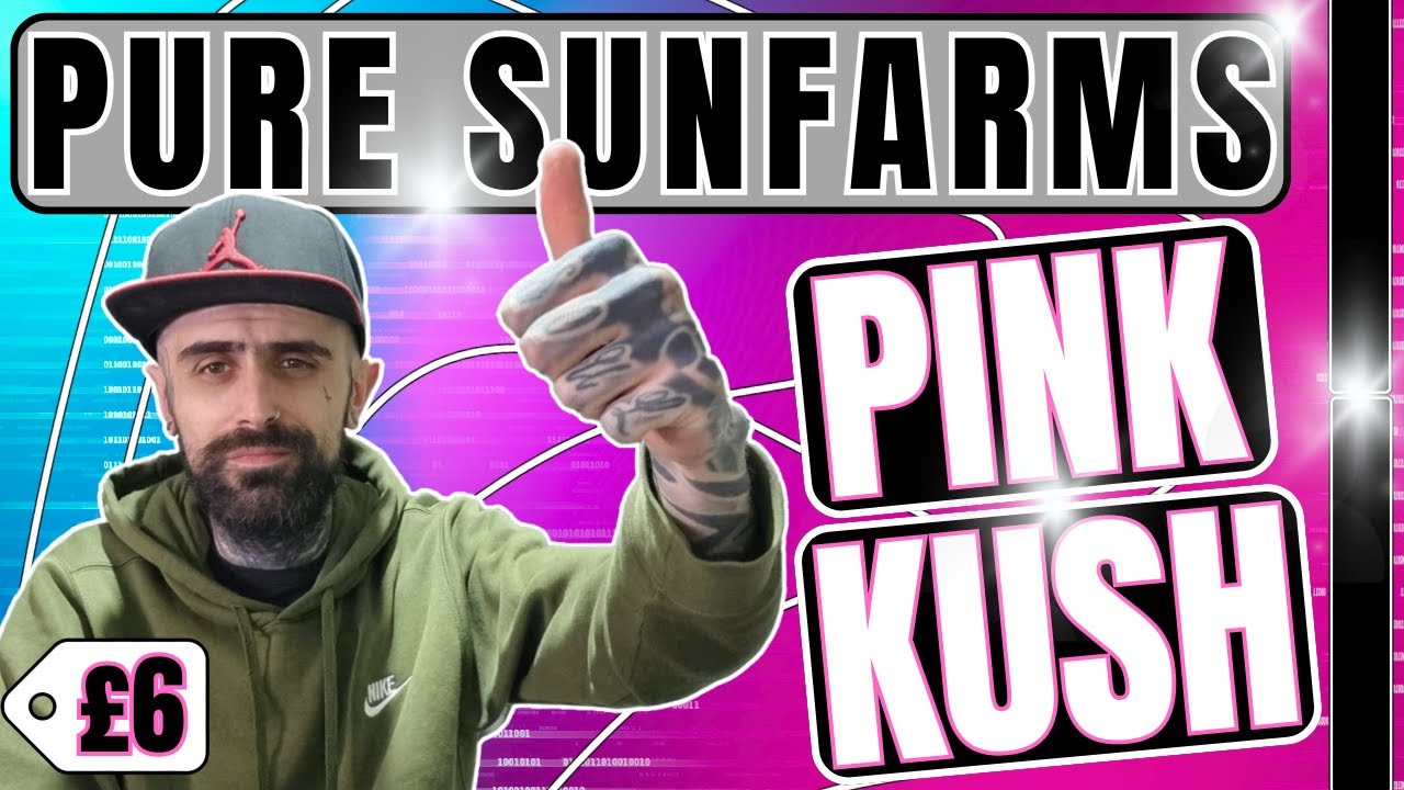 Pure SunFarms Pink Kush | UK Medical Cannabis Review