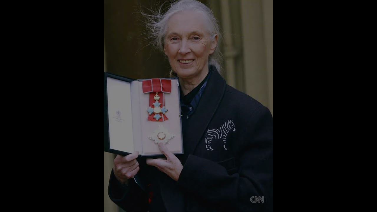 Tribute to Jane Goodall 