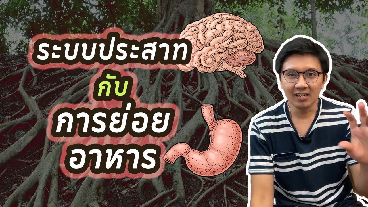 ระบบประสาท กับ การย่อยอาหาร - หมอนัท Live