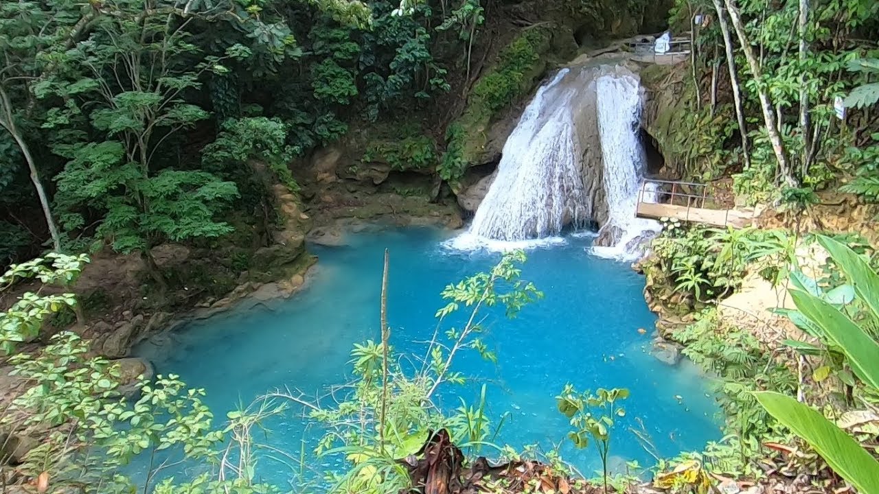 One Of The Greatest Cruise Ship Shore Excursions Of All Time!