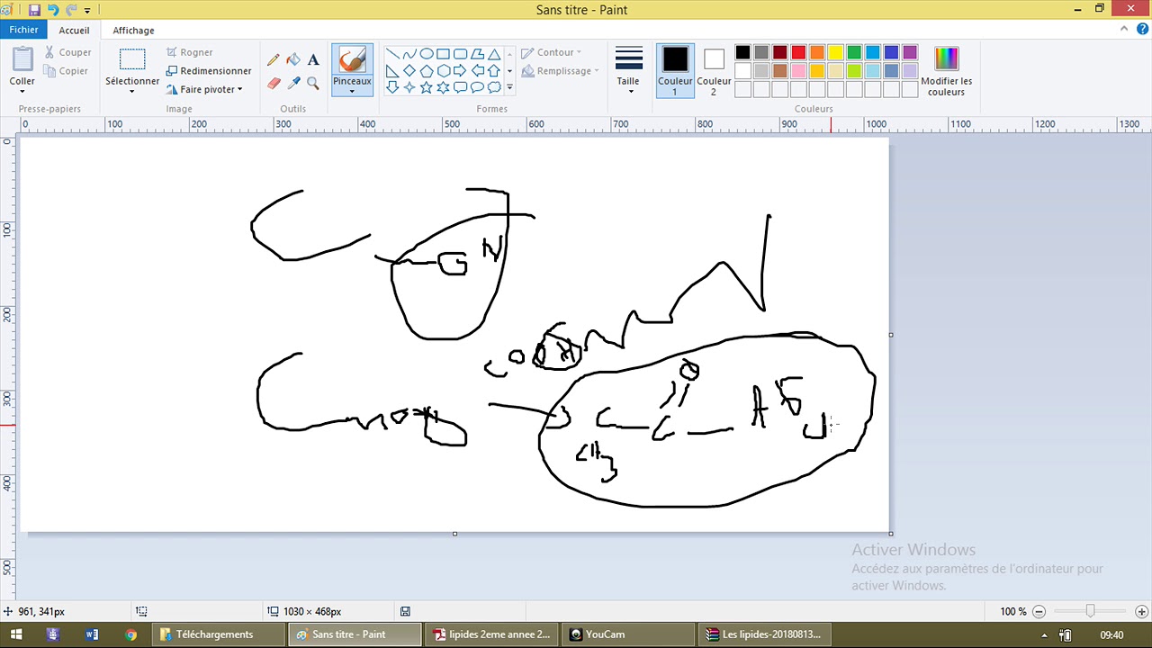 Métabolisme des lipoproteines 1